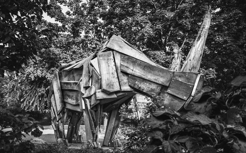 11.rhino_iambarnie.com